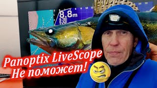 Panoptix LiveScope тут НЕ ПОМОЖЕТ Рыбалка в ноябре 2023 [upl. by Haelahk]