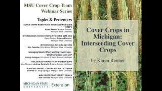 MSU Cover Crop Team Webinar Series Cover Crops in Michigan  Interseeding Cover Crops [upl. by Knut]