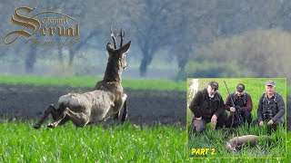 Spring roebuck hunting in Backa Palanka 2023  Part 02 [upl. by Weksler173]