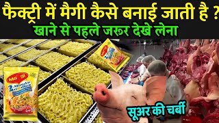 फैक्ट्री में मैगी कैसे बनाई जाती है   Maggi Kaise Banate Hain  Maggi Manufacturing Process [upl. by Larrisa]