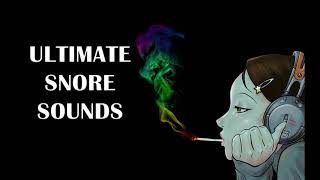 Snoring Sounds Ultimate Snore Sound Effect Compilation [upl. by Tray42]