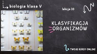 Biologia klasa 5 Lekcja 10  Klasyfikacja organizmów [upl. by Englebert]