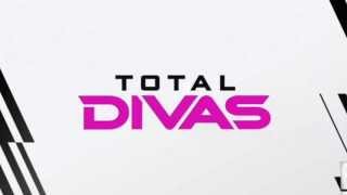 WWE amp E Total Divas official theme quotTop of the Worldquot by CFO [upl. by Kemp]