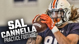 Auburns Sal Cannella catches passes in fall camp [upl. by Cuda109]