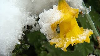 Ostschweiz Der Winter meldet sich zurück  Weisser Sonntagmorgen im Toggenburg [upl. by Cos]