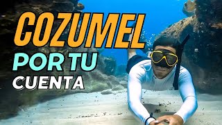 Un dia de Snorkel en Cozumel  Explorando Cozumel por tu cuenta Hotel Ventanas al mar [upl. by Allicirp]