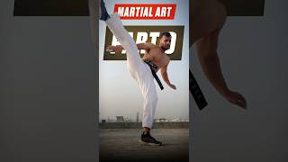 Part 9 Stamina Drills😰 stamina martialartstraining training youtubeshorts martialartsforlife [upl. by Mallon971]