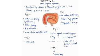 HIRSCHSPRUNGS DISEASE NOTES ONE PAGE NOTES  LARGE INTESTINE  SURGERY  4TH PROFF  MBBS [upl. by Edniya]