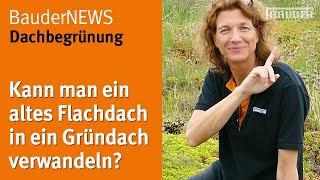 Wie macht man aus einem Flachdach ein Gründach  BauderNEWS [upl. by Gruber]