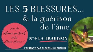 Les 5 Blessures et la Guérison de lâme 💐 N°4 LA TRAHISON [upl. by Yrailih]