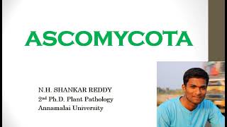 Phylum Ascomycota  General Characters  Plant Pathology  BSc Agriculture [upl. by Flinn]