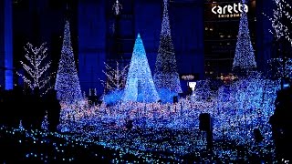 Caretta Shiodome Winter Lights Illumination  Tokyo [upl. by Pros]