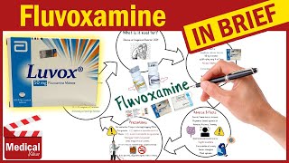 Fluvoxamine Luvox What Is Fluvoxamine Used For Uses Dosage and Side Effects of Fluvoxamine [upl. by Richter653]