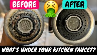 How To Clean Faucet Head Fast Remove Hard Water DepositsStainsLime Build Up Natural Method [upl. by Notnef]