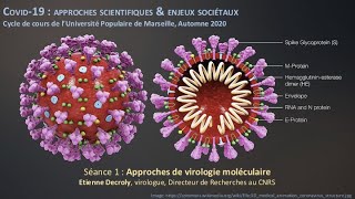 Covid19  approches scientifiques et enjeux sociétaux 1 Virologie moléculaire Etienne Decroly [upl. by Nnylirej41]