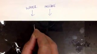 Water vs hexane lab  intermolecular forces [upl. by Schroth]