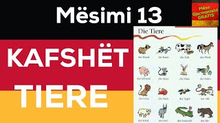 Kafshët në Gjuhën Gjermane I Tiere auf Deutsch I 2019 [upl. by Aziza493]