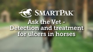 Ask the Vet  Detection and treatment for ulcers in horses [upl. by Debbie189]