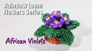 Rainbow Loom Flowers Series African Violets [upl. by Eivad]