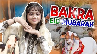 Ezna Kiyani  Sabko Bakra Eid Mubarak Bakra Eid Nasheed 2023  Beautiful Video Aljilani Production [upl. by Hite]