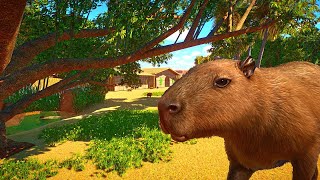 Starting an Ethical Zoo in Planet Zoo Franchise Mode [upl. by Thibault]