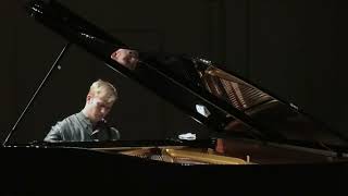 FLISZT 12 Transcendental Etudes Paulius Andersson [upl. by Adyam]