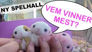 ♥ Spelhall  Vem vinner mest [upl. by Ahsrop]