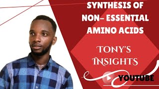 Synthesis of nonessential amino acids [upl. by Skippy546]