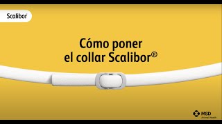 ¿Cómo poner el collar Scalibor®  Scalibor® [upl. by Novah]