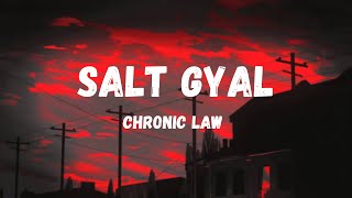 Chronic Law  Salt Gyal Lyrics [upl. by Rem]