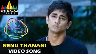 Oh My Friend Video Songs  Nenu Thaanani Video Song  Siddharth Shruti Hassan  Sri Balaji Video [upl. by Millicent428]