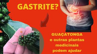 GASTRITE Guaçatonga espinheira santa e outras podem te ajudar [upl. by Haroldson]