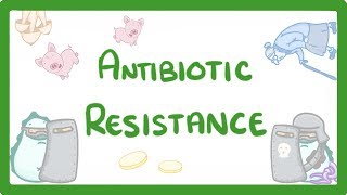 Antibiotics vs Bacteria Fighting the Resistance [upl. by Trumann48]