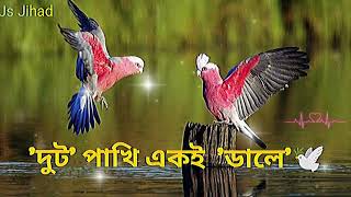 দুটো পাখি একই ডালে  Duto Pakhi Eki Dale music slowed reverd New Lofe Song 👨‍❤️‍💋‍👨 [upl. by Harwill]