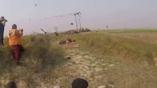 Vultures eating dead cow Part 1 [upl. by Satterfield869]