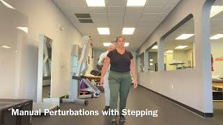 Manual Perturbations with Stepping [upl. by Judon]