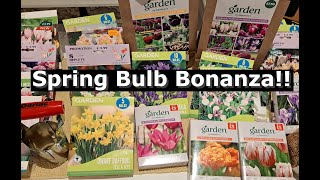 Spring Bulbs  What Ive bought and where i bought them from [upl. by Sandro]