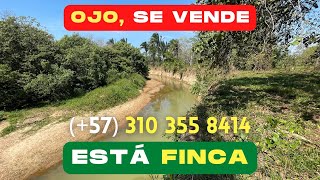 🔥SE VENDE  ESTÁ FINCA  Contacto WhatsApp 57 310 355 8414🔥 [upl. by Eanahc976]