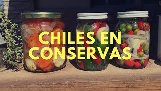 Como hacer conservas de Chiles En ESCABECHE 2023 Chiles En Conservaaji en vinagre [upl. by Lim]