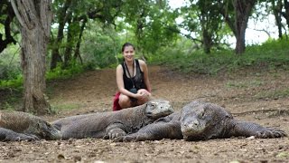 Exploring the Komodo Islands [upl. by Anahsat]