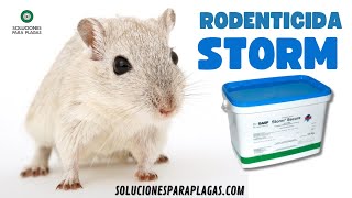 Rodenticida Raticida Veneno para ratas STORM soluciones para plagas 2023 [upl. by Hughett]