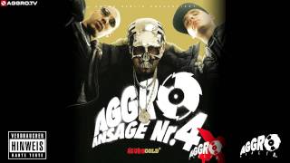 FLER  NEUE DEUTSCHE WELLE  AGGRO ANSAGE NR 4X  ALBUM  TRACK 02 [upl. by Nema365]