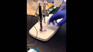 How to do a Weak AcidStrong Base Titration [upl. by Johnsten]