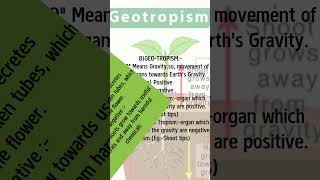 hormonal response l auxin signalling l chemotropism l pgr [upl. by Waltner]