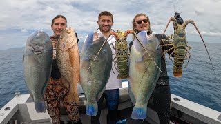 Spearfishing Australias TASTIEST REEF FISH [upl. by Pich712]