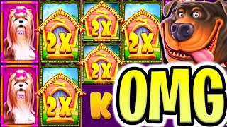 €10000 MAX BONUS 🔥 THE DOG HOUSE MEGAWAYS SLOT 🐶 INSANE BIG WINS‼️ [upl. by Anima]