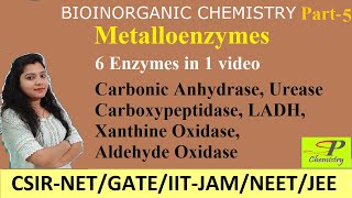 Metalloenzymes  Carbonic Anhydrase  Urease  Carboxypeptidase  LADH  Xanthine amp Aldehyde Oxidase [upl. by Brodsky]