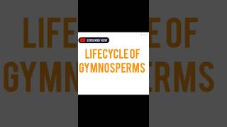 LIFECYCLE OF GYMNOSPERMS [upl. by Sillyrama]