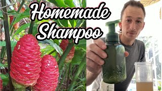 How To Make Homemade Shampoo From Pine Cone Ginger Plant Shampoo Ginger [upl. by Atiuqcir]