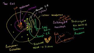 Nonlinear systems of equations 1  Algebra II  Khan Academy [upl. by Amatruda]